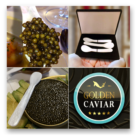 Detailfotos: Kaviar Perlmutt-Löffel von GOLDEN CAVIAR