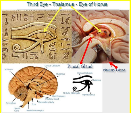 gerade das 3- Auge kann sich durch ne Motherdrum Healer Session öffnen 
