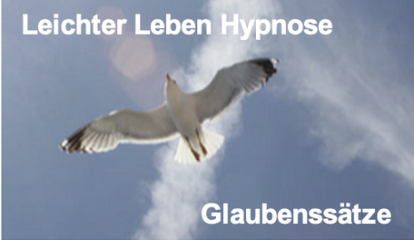 Weiße Möwe am Himmel, für Leichtigkeit und Freiheit
