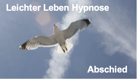 Weiße Möwe am Himmel, für Leichtigkeit und Freiheit