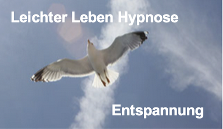 Weiße Möwe am Himmel, für Leichtigkeit und Freiheit