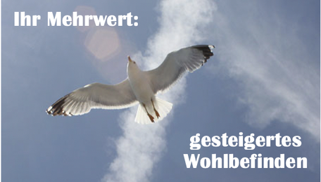 Weiße Möwe am Himmel, für Leichtigkeit und Freiheit