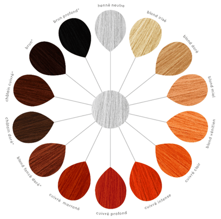 Palette de nuances en couleur végétale sur cheveux blancs