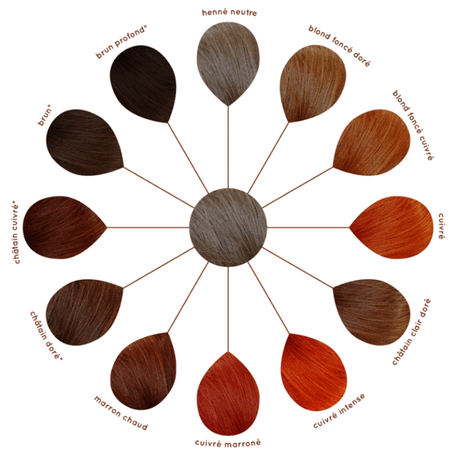 Palette de nuances en couleur végétale sur cheveux blonds foncés