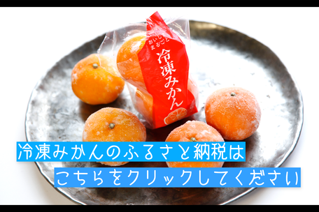 冷凍みかんのふるさと納税はこちらから！(外部サイトにリンクします)