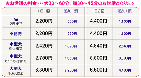 横浜市中区 ペットシッター、横浜市中区キャットシッター 、 猫 シッター 中区、猫 シッター 南区、山手 石川町 元町 中華街 関内  伊勢佐木町 阪東橋 日本大通り