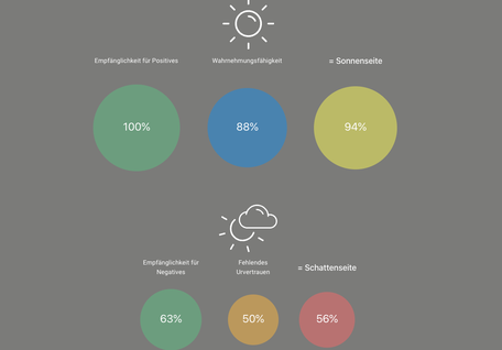Einblick in VANTAGE.Space: Sensitivitätstyp „Generell“ – Sonnenseite 94 %, Schattenseite 56 %. Mit Simone Scheuner, liz. Neurocoachin (nach Dr. P. Wyrsch)