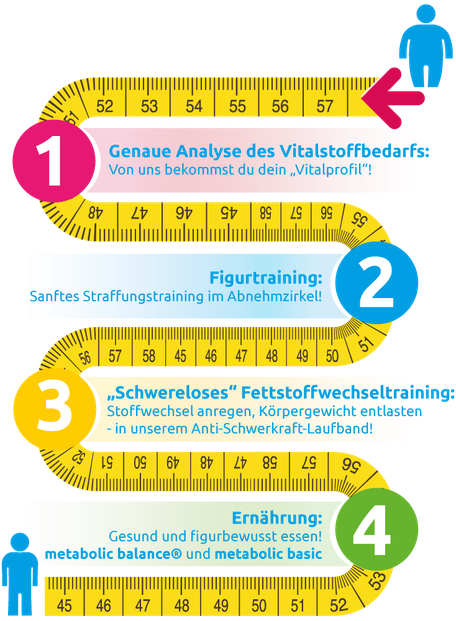 Stoffwechsel Programm