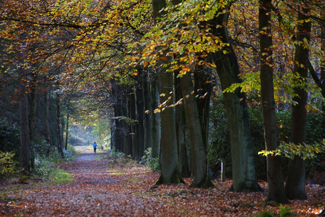 REVITALIS GmbH Fit durch den Herbst