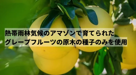 #GSE#グレープフルーツ種子抽出物#シトラバスター#ペシュマル