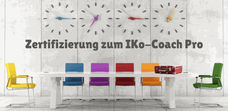 FÜR MOTIVEXPERTEN (RMP LUXX ID37 MPA MSA) & IKo Coaches 