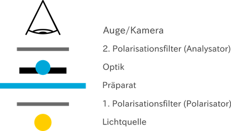 Links die relevanten Elemente im Lichtweg bei einem Foldscope mit Polarisationsaufsatz, rechts Beschriftungen der Elemente