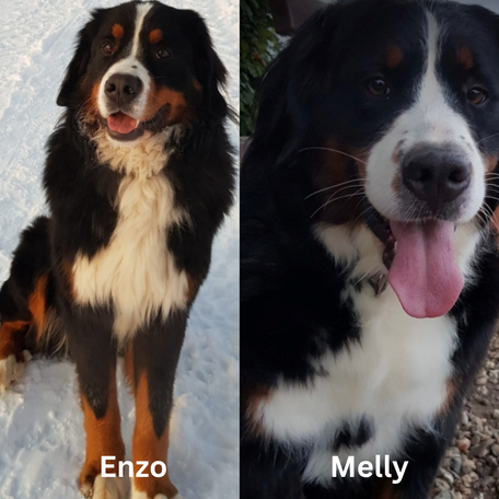 Enzo & Melly