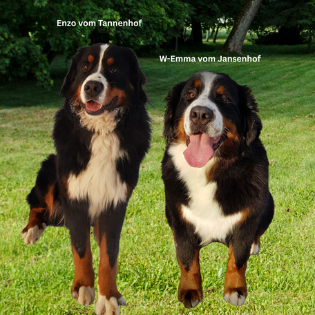 Enzo & Emma