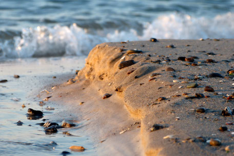 Ostsee Fischland Krimi Corinna Kastner Wustrow Darß Zingst Mecklenburg-Vorpommern Stralsund Barnstorf
