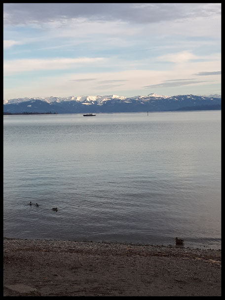 Blick auf den Bodensee