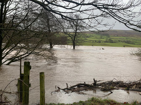 orm Ciara and River at bottom of garden