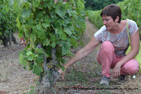 guided-wine-tours-in-the-Vouvray-vineyard-Loire-Valley-Amboise-wine-tastings-Rendez-Vous-dans-les-Vignes-Myriam-Fouasse-Robert