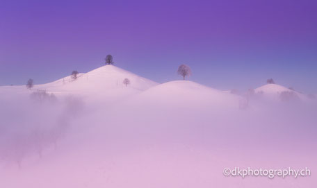 photography dkphotography dk dk.photography dk_photography dk-photography demian knobel Kalender Falkland natur nature wildlife