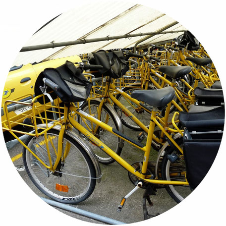Quel velo d occasion acheter Velook devenez expert en velos d occasion