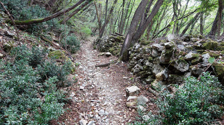 auf einem MTG-Parcours durch den Parco della Mura