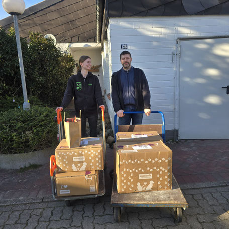 https://alex-oles-bastelecke.de/