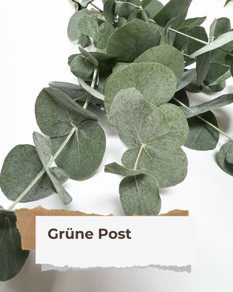 Grüne Post