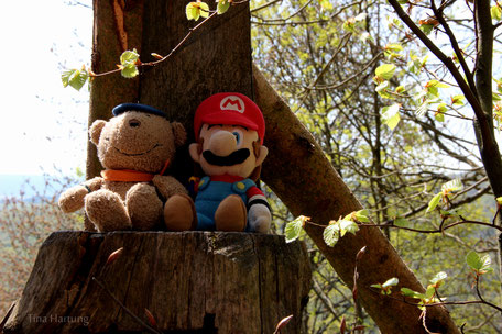 Mario und Bob genießen die Aussicht vom Gangolfsberg auf die Marktgemeinde Oberelsbach. 