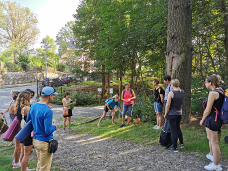 Yoga und Waldbaden in der Dresdner Heide