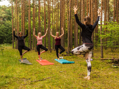 Yoga und Waldbaden in der Dresdner Heide