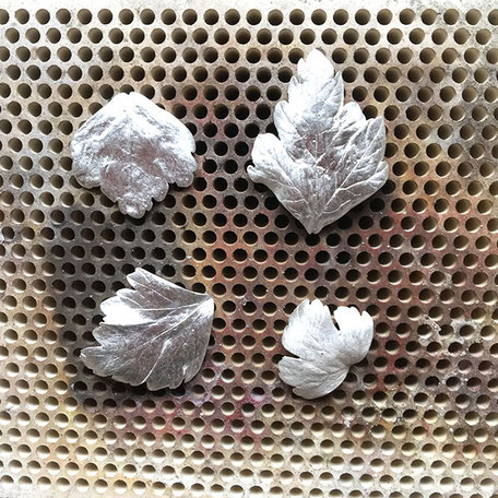 Petersilie Blatt Silber www.goodrun.at