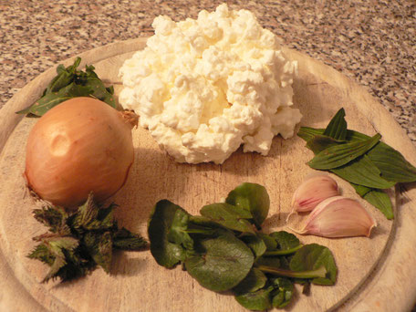 Cottage cheese, Wildkräuter, Dipp