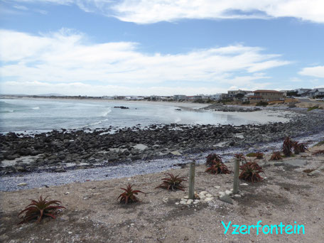 Bild: Die Bucht von Yzerfontein