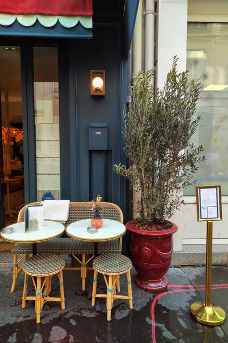 Olivier et poterie en céramique