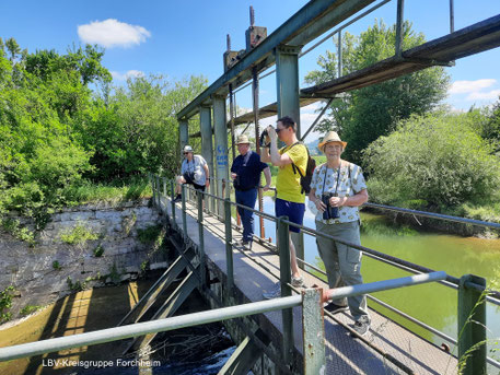 Beim Spaziergang im Forchheimer Zweng (Foto © Ute Wild)