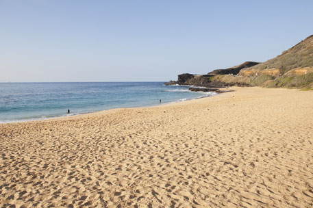 ハワイの観光情報「LaniLani」より「White Sandy Beach」