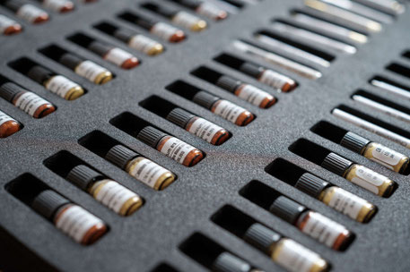 Praxis fuer Homoeopathie Berlin