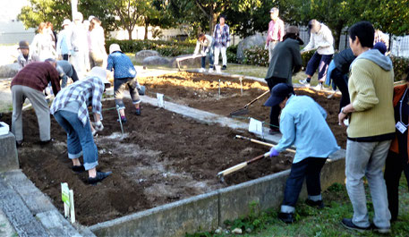 「学校」の実習風景・・初めてクワ（鍬）を持つ人も（古井戸公園）