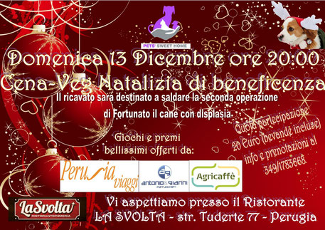 pets weet home perugia