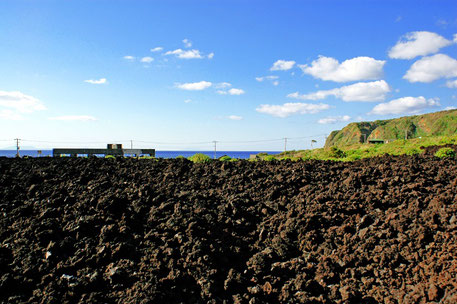 三宅サンマルツァーノ　三宅島バカンス　火山体験遊歩道