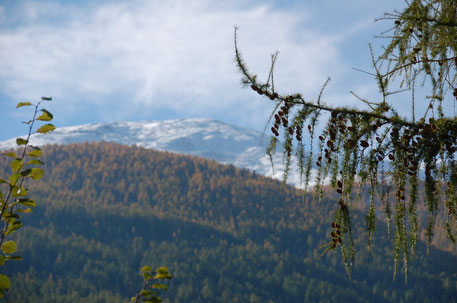 Blick von der Terrasse