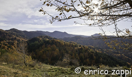 Panoramica autunnale della Foresta della Lama ripresa da Romiceto.