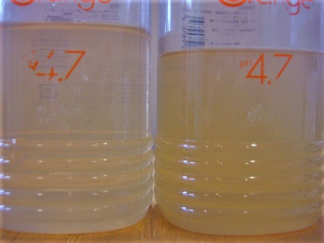 ベルジュバンス ボヌ-ルウェ-ブでデトックス
