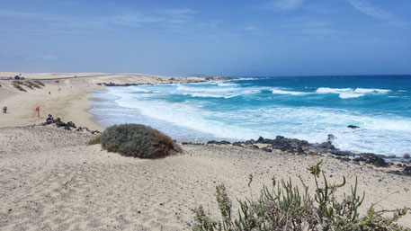 Canaries, Fuerteventura : plage aux eaux turquoise du parc de Corralejo 
