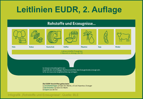 Die Infografik erklärt, welche Rohstoffe durch die EUDR (Verordnung (EU) 2023/1115 betroffen sind: Holz, Kakao, Kautschuk, Kaffee, Ölpalme, Soja und Rinder. Gilt in der EU für Inverkehrbringer, Bereitsteller und Importeure. Sorgfaltserklärungen notwendig