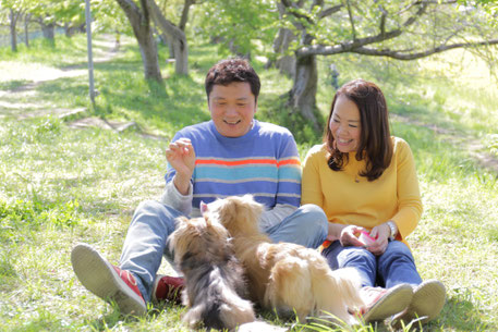 犬との暮らしを大切にしたい