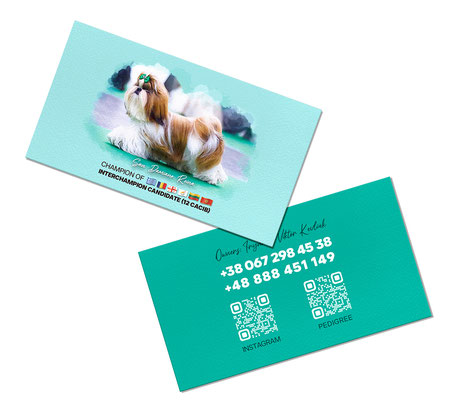 turquoise business cards design, shih tzu kennel business cards design, best elegant dogs business cards design, Yuliya Strizhkina, order, Kyiv, Ukraine, Iryna Kevliuk