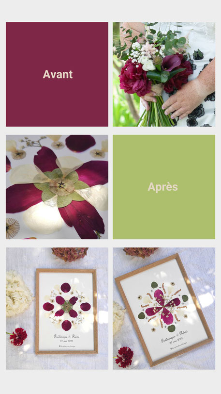 Mes Petites Fleurs d’Auvergne - Crédit photo : Tous droits réservés