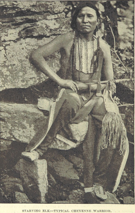 Symbolbild Blogartikel Indianer: Typischer Cheyenne Krieger