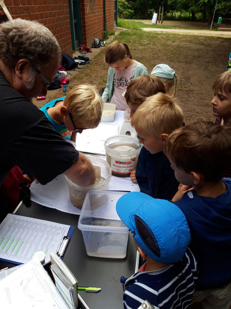 Becher und Listen auf einem langen Tisch, die Kinder gucken in die Becher hinein